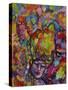 Mardi Gras Lady 6152-Howie Green-Stretched Canvas