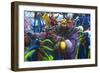 Mardi Gras, Ponce, Puerto Rico, U.S. Territory, Caribbean-null-Framed Photographic Print