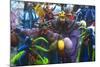 Mardi Gras, Ponce, Puerto Rico, U.S. Territory, Caribbean-null-Mounted Photographic Print