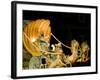 Mardi Gras Prade Float Rex in Troika-Carol Highsmith-Framed Photo