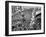 Mardi Gras Revelers Gather at Canal Street-null-Framed Premium Photographic Print