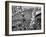 Mardi Gras Revelers Gather at Canal Street-null-Framed Photographic Print