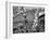 Mardi Gras Revelers Gather at Canal Street-null-Framed Photographic Print