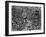 Mardi Gras Revelers Gather at St. Charles Street-null-Framed Premium Photographic Print