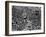 Mardi Gras Revelers Gather at St. Charles Street-null-Framed Photographic Print