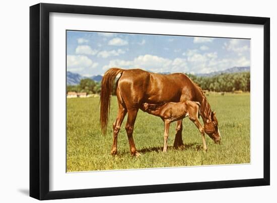 Mare and Foal in Pasture-null-Framed Art Print