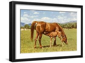 Mare and Foal in Pasture-null-Framed Art Print