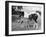 Mare and Foal-null-Framed Photographic Print