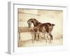 Mare and Foal-Théodore Géricault-Framed Giclee Print