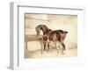 Mare and Foal-Théodore Géricault-Framed Giclee Print