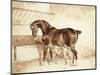 Mare and Foal-Théodore Géricault-Mounted Giclee Print