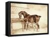 Mare and Foal-Théodore Géricault-Framed Stretched Canvas