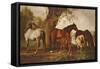 Mare and Foals-George Stubbs-Framed Stretched Canvas