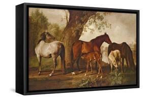 Mare and Foals-George Stubbs-Framed Stretched Canvas