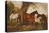 Mare and Foals-George Stubbs-Stretched Canvas