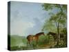 Mare and Stallion in a Landscape-Sawrey Gilpin-Stretched Canvas