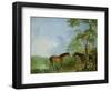 Mare and Stallion in a Landscape-Sawrey Gilpin-Framed Giclee Print