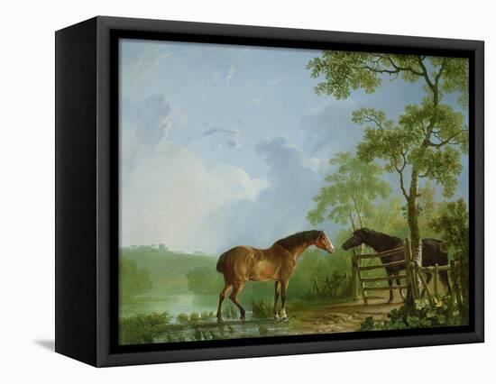 Mare and Stallion in a Landscape-Sawrey Gilpin-Framed Stretched Canvas