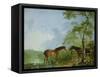 Mare and Stallion in a Landscape-Sawrey Gilpin-Framed Stretched Canvas