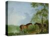 Mare and Stallion in a Landscape-Sawrey Gilpin-Stretched Canvas