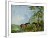 Mare and Stallion in a Landscape-Sawrey Gilpin-Framed Giclee Print