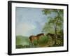 Mare and Stallion in a Landscape-Sawrey Gilpin-Framed Giclee Print