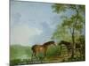 Mare and Stallion in a Landscape-Sawrey Gilpin-Mounted Giclee Print