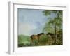 Mare and Stallion in a Landscape-Sawrey Gilpin-Framed Giclee Print