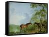 Mare and Stallion in a Landscape-Sawrey Gilpin-Framed Stretched Canvas