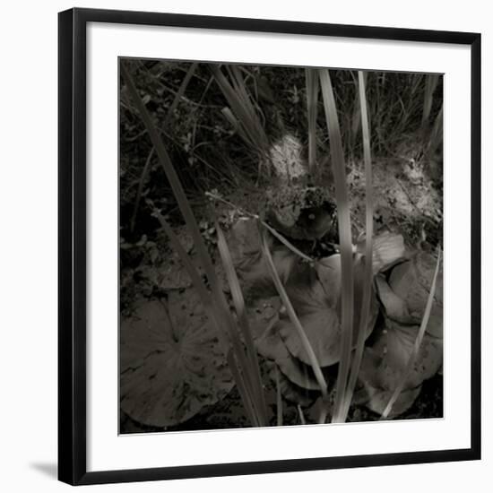 Mare, c.2004-Jacky Lecouturier-Framed Premium Giclee Print