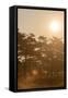 Canvas Black