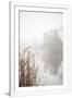 Gramercy White