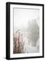 Black Frame