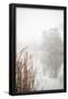 Essential Black