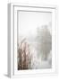White Frame