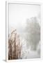 Gramercy White