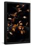 Essential Black