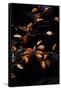 Canvas Black