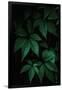 Gramercy Black