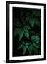 Gramercy Black