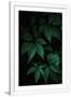 Gramercy White