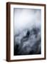 Brown Frame
