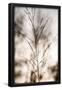 Essential Black