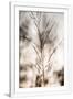 Gramercy White