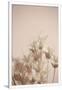 Gramercy White