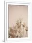 Gramercy White