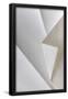 Essential Black