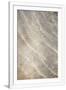 Gramercy White