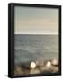 Essential Black