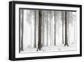 Black Frame